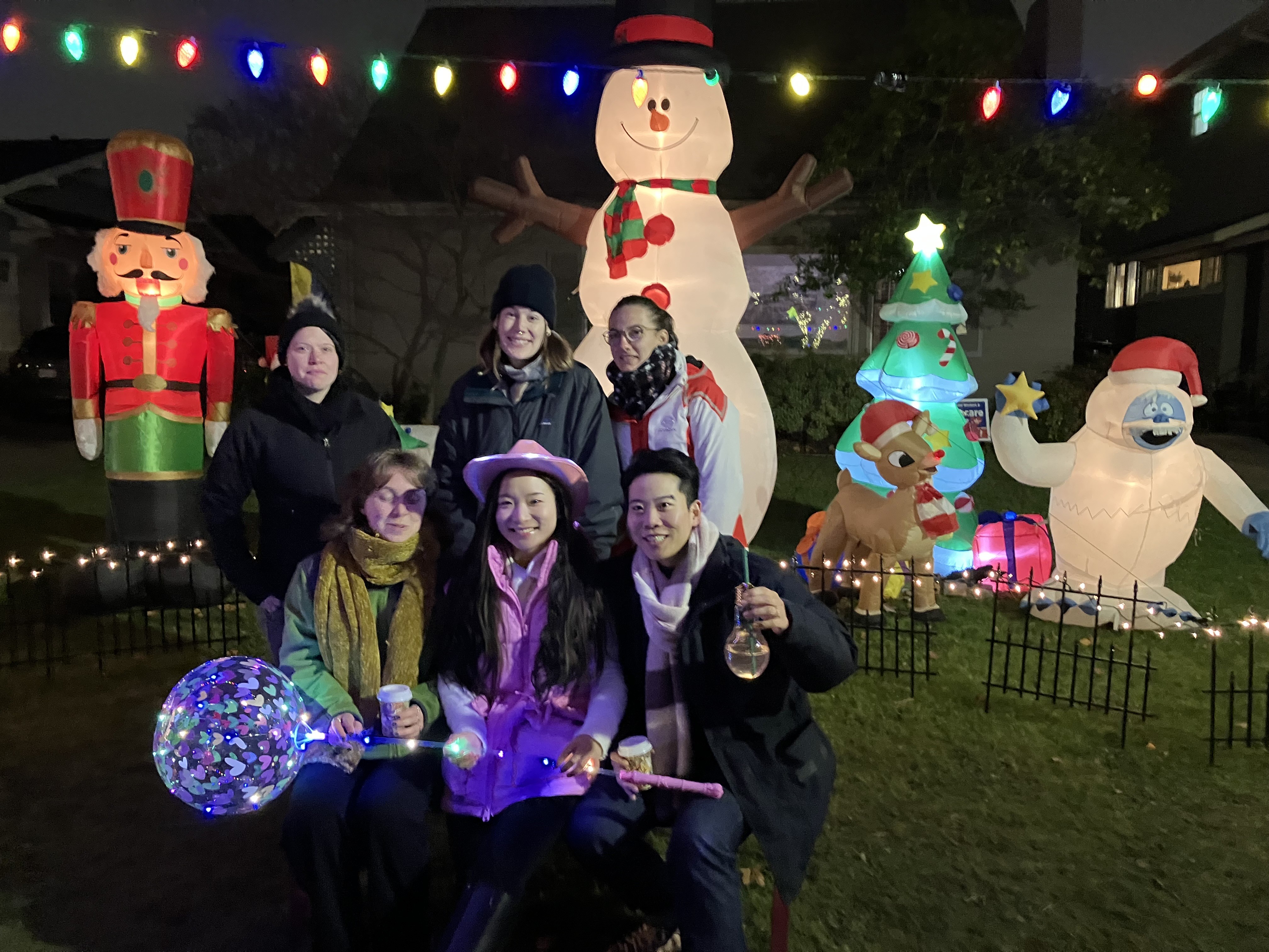 Marche Tonique: Holiday Lights Walk 2024